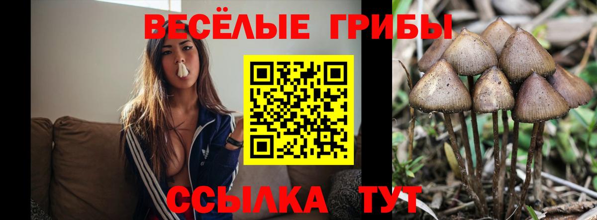 Галлюциногенные грибы ЛСД  Вход с VPN  Псилоцибиновые грибы Cubensis  Сызрань 